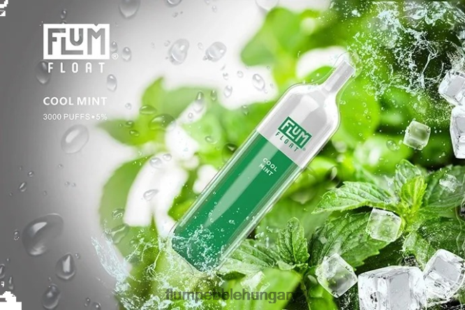 FLUM FLOAT 3000 fújás hűvös menta - Flum Pebble Vape Flavors F84TLF25