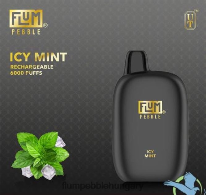 FLUM PEBBLES 6000 fújás jeges menta - Flum Pebble Vape Near Me F84TLF49