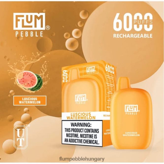 FLUM PEBBLES 6000 fújás zamatos görögdinnye - Flum Pebble Budapest F84TLF50